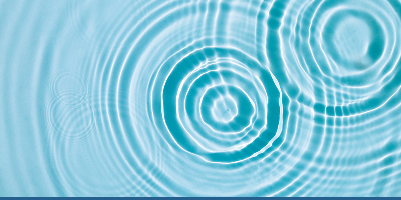 The Power of Micro Habits: Transforming Your Business, One Small Change at a Time